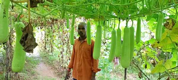 जैविक खेती को बढ़ावा देने के लिए किसान प्रशिक्षण रिसर्च एक्शन पायलट प्रोग्राम की शुरुआत