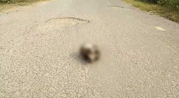 कोडरमा: बीच सड़क पर मनुष्य की खोपड़ी, ग्रामीणों में दहशत
