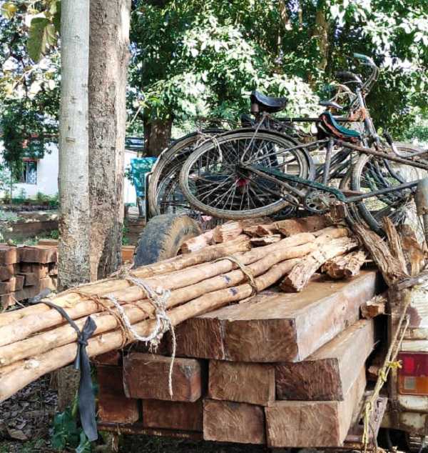 किरीबुरु: वन विभाग को मिली बड़ी सफलता, हजारों का अवैध लकड़ी बरामद