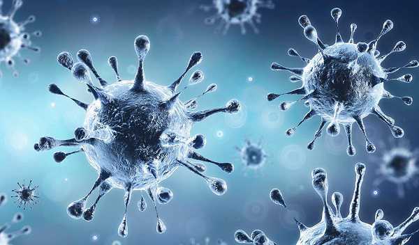 Jharkhand Coronavirus Updates: बीते 24 घंटो में 17 नए मामले, रांची में मिले सबसे अधिक मरीज