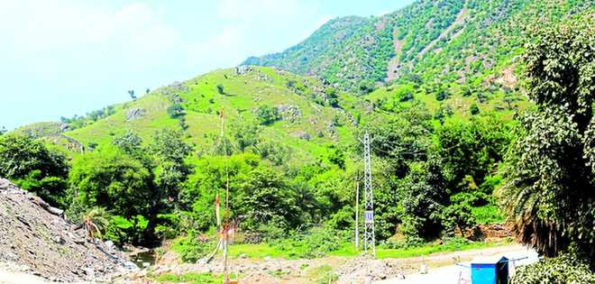 वनों के विकास को लेकर सरकार तैयार करेगी विस्तृत कार्य योजना