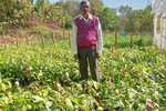 दीदी बाड़ी योजना से उद्यमी बन रहे किसान