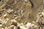 साहेबगंज में NGT के आदेशों की अनदेखी, 402 पत्थर खदानों में हो रहा उत्खनन