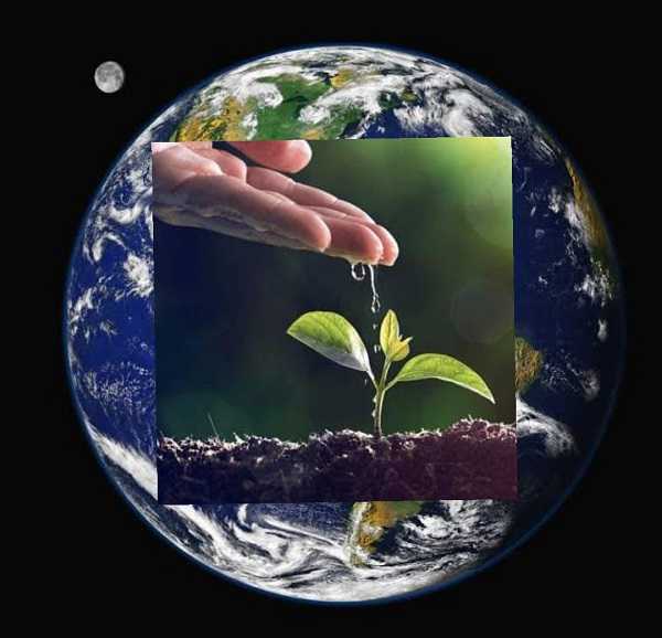 विश्व पर्यावरण दिवस आज, 'आइए पृथ्वी को बचाएं' थीम पर दुनियाभर में होगा कार्यक्रम