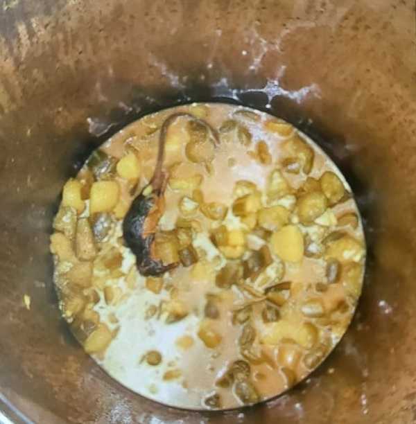 रिनपास मरीजों की थाली में चूहा मरा खाना परोसा गया
