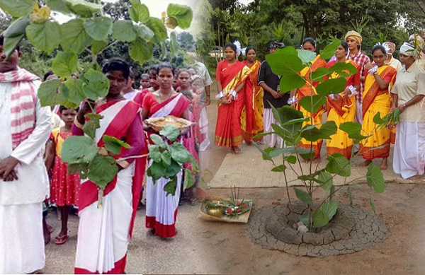 Tribal people celebrating Karma Puja festival with seedlings Baludih  village district Bokaro Jharkhand Stock Photo  Alamy