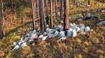 उत्तराखंड के उत्तरकाशी में बिजली गिरने से 350 भेड़-बकरियों की मौत