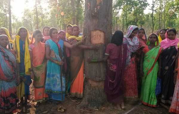 'मत काटो पेड़' दर्जनों महिलाओं ने पेड़ों से चिपककर जताया विरोध