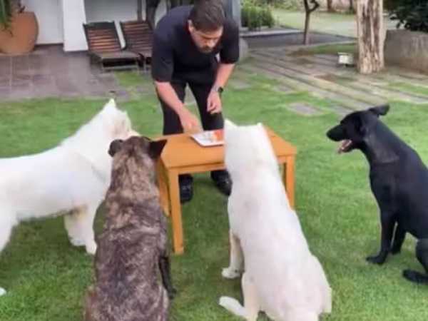 बर्थडे के बाद धोनी का इन्स्टा पोस्ट हुआ वायरल, देखिये क्या है पोस्ट में