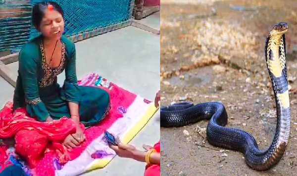 युवती की मांग में नाग ने भरा सिंदूर! Video वायरल..