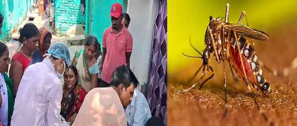 धनबादः डेंगू पीड़ित एक महिला की इलाज के दौरान मौत