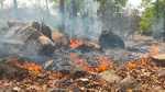 सिमडेगा के जंगलों में लगने लगी आग, महुआ चुनने के लिए ग्रामीण लगा रहे आग