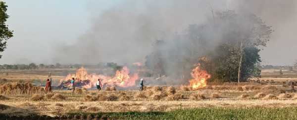 हजारीबाग: गेहूं खेत में लगी आग, कई एकड़ में लगी फसल जलकर राख