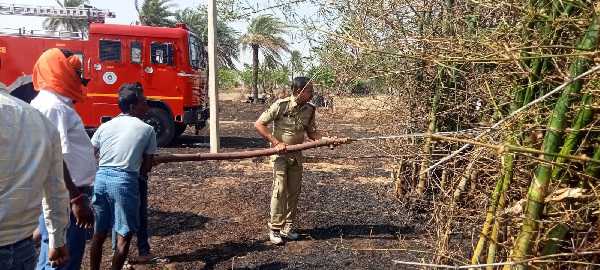 देवनडीह गांव के मैदान में लगी आग, अग्नि शमन वाहन ने आग पर पाया काबू