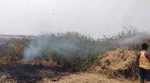 सोनारपाड़ा सीमावर्ती इलाके में गेहूं के खेत में लगी आग लाखो का नुकसान