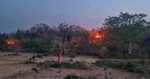 हजारीबाग के कटकमसांडी वन क्षेत्र में लगी भयंकर आग, तेजी से बढ़ रही है आग की लपटें, वन विभाग मौन